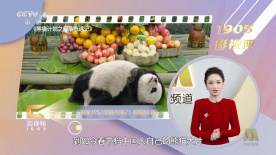 最新在线观看精品国产福利片